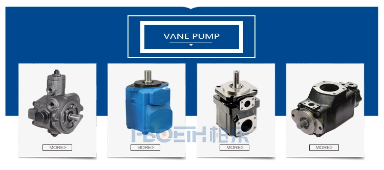 Rexroth Hydraulic Pump/Piston Pump/Grease Pump/Pressure Pump/Oil Pump/Vane Pump/ Gear Pump/Excavator Pump for A2fo A2FM A10vg A4vg A4vso A4vsg A8vo A10vso A11V